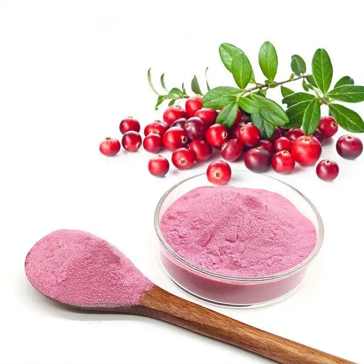 What Certifications Should Cranberry Fruit Extract Powder Suppliers Have?